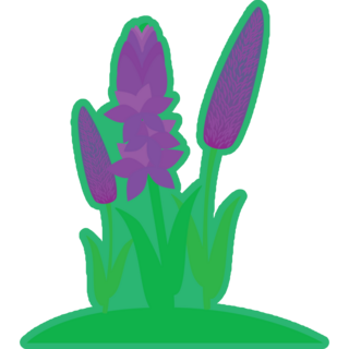 Green Lavender Sticker