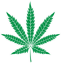 Green Leaf Of Marijuana Sticker