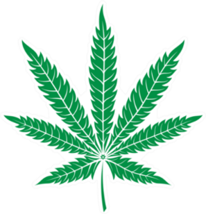 Green Leaf Of Marijuana Sticker