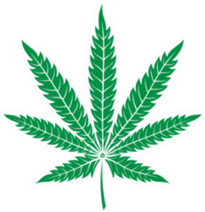 Green Leaf Of Marijuana Sticker