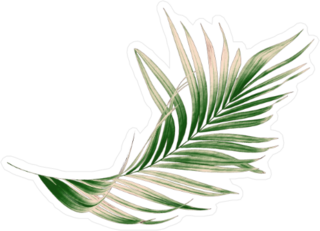 Green Palm Leaf Sticker