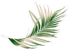 Green Palm Leaf Sticker