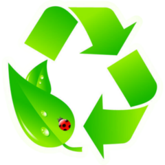 Green Recycling Logo With Ladybug Sticker