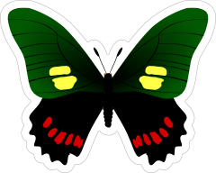 Green Red and Yellow Butterfly Sticker