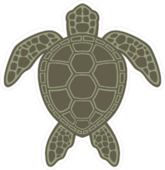 Green Sea Turtle Flat illustration Sticker