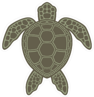 Green Sea Turtle Flat illustration Sticker