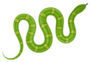 Green Snake Illustration Sticker