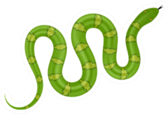 Green Snake Illustration Sticker
