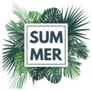 Green Summer Tropical Palm Leaves And Plants Sticker