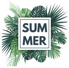 Green Summer Tropical Palm Leaves And Plants Sticker