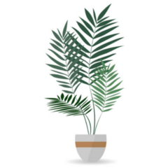 Green Tropical Indoor Palm Tree Plant Sticker