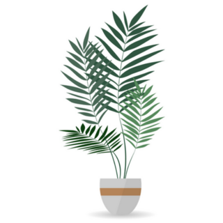 Green Tropical Indoor Palm Tree Plant Sticker