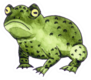 Green Ugly Frog With Round Yellow Eyes Sticker