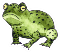 Green Ugly Frog With Round Yellow Eyes Sticker