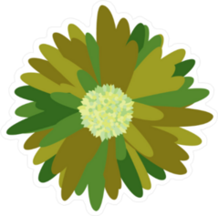Green Vector Daisy Sticker