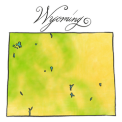 Green Wyoming Map Sticker
