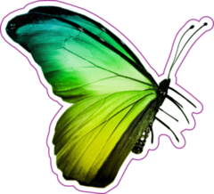 Green Yellow Butterfly Sticker