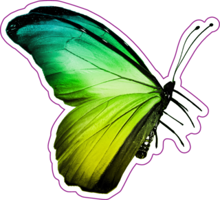 Green Yellow Butterfly Sticker