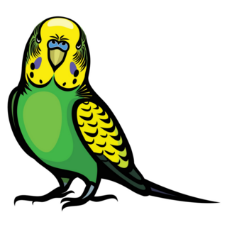 Green Yellow Parakeet Sticker