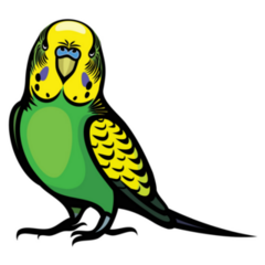Green Yellow Parakeet Sticker