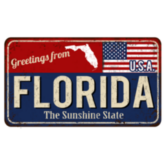 Greetings From Florida Vintage Rusty Metal Sign Sticker