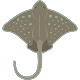 Grey Blue Spotted Stingray Sticker