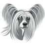 Grey Chinese Crested Sticker