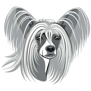 Grey Chinese Crested Sticker