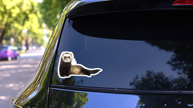 Grey Ferret In Full Growth Lies Down Sticker on a Rear Car Window (New) example