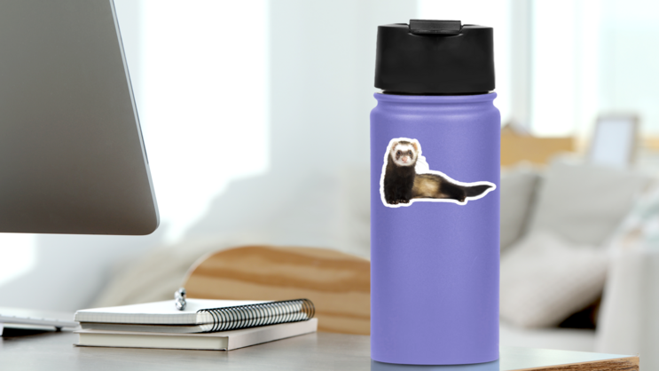 Grey Ferret In Full Growth Lies Down Sticker on a Water Bottle (New) example
