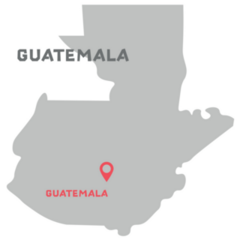 Grey Guatemala Sticker