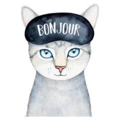 Grey Kitty Wearing Black Sleeping Mask bonjour French Sticker