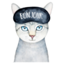 Grey Kitty Wearing Black Sleeping Mask bonjour French Sticker