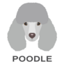Grey Poodle Script Sticker