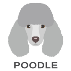 Grey Poodle Script Sticker
