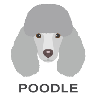 Grey Poodle Script Sticker