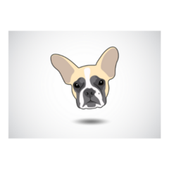 Grey Tri-color French Bulldog Sticker