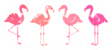Group Of Abstract Pink Flamingos Sticker