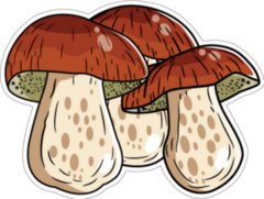 Group Of Bolete Mushrooms Sticker