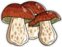 Group Of Bolete Mushrooms Sticker