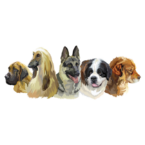 Group Of Dogs Sticker