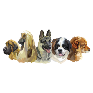 Group Of Dogs Sticker