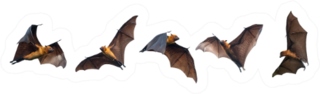 Group of Flying Bats Sticker
