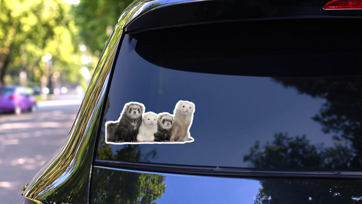 Group Of Four Ferrets Sticker on a Rear Car Window (New) example