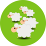 Group Of Sheeps Cartoon On Green Sticker