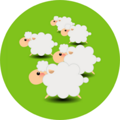 Group Of Sheeps Cartoon On Green Sticker