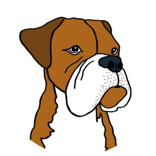 Grumpy Boxer Dog Sticker