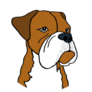 Grumpy Boxer Dog Sticker