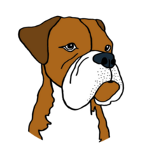 Grumpy Boxer Dog Sticker