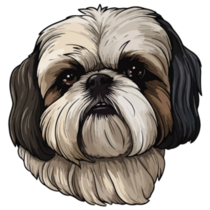 Grumpy Shih Tzu Sticker